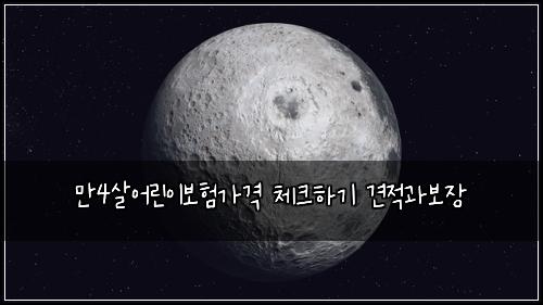 만4살어린이보험가격 체크하기 견적과보장