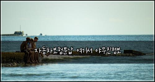 ์๋์ฐจ๋ณดํ๋ถ๋ฉ ์ฌ๊ธฐ์ ์ผ๋ฌด์ง์ ๋ณด