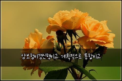 ์๋ณดํ๋น๊ฐฑ์ ํ๋น๊ต ๊ณํ์ ์ผ๋ก ํตํฉ๋น๊ต