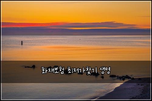 화재보험 최저가찾기  생명