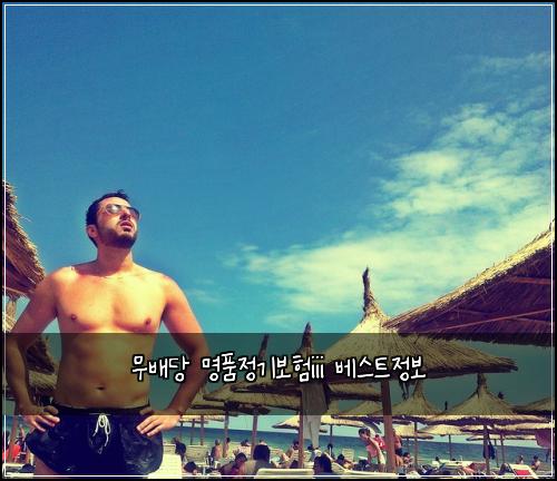 무배당 명품정기보험iii 베스트정보