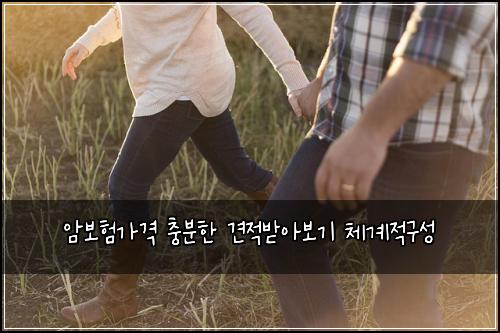 ์๋ณดํ๊ฐ๊ฒฉ ์ถฉ๋ถํ ๊ฒฌ์ ๋ฐ์๋ณด๊ธฐ ์ฒด๊ณ์ ๊ตฌ์ฑ