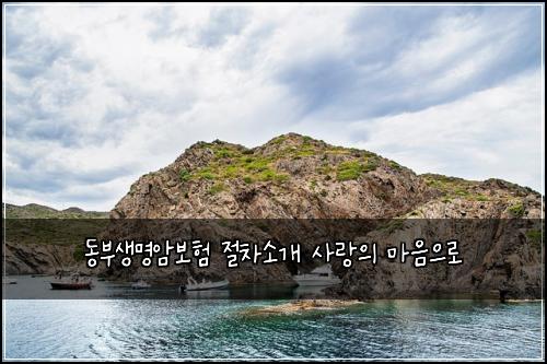 ๋๋ถ์๋ช
์๋ณดํ ์ ์ฐจ์๊ฐ ์ฌ๋์ ๋ง์์ผ๋ก