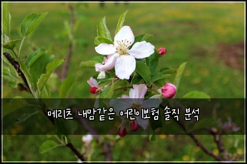 메리츠 내맘같은 어린이보험 솔직 분석