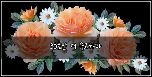 30초만 더 숙고하라