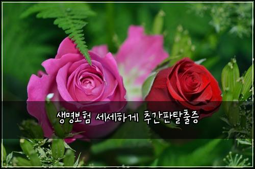 생명보험 세세하게  추간판탈출증