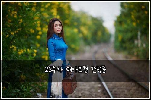 26주차 태아보험 견적좀 
