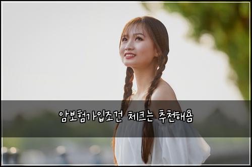 암보험가입조건 체크는 추천해욤