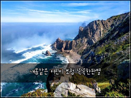 내몸같은 어린이 보험 똑똑한판별 