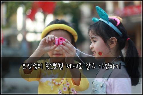 보장성의 종신보험 제대로 알고 가입하기