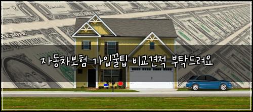 자동차보험 가입꿀팁  비교견적 부탁드려요