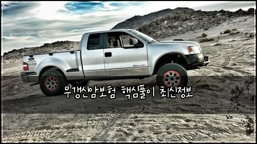 무갱신암보험 핵심풀이  최신정보