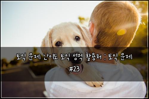 토익 문제 난이도 토익 성적 활용처 : 토익 문제 #23