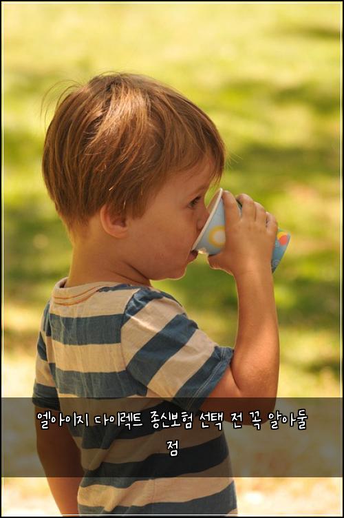 엘아이지 다이렉트 종신보험 선택 전 꼭 알아둘 점