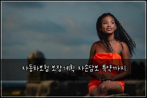 자동차보험 보장계획  자손담보 특약까지