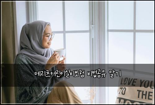 ๋ฉ๋ฆฌ์ธ ์ด๋ฆฐ์ด์ค๋น๋ณดํ ๋น๋ฒ๊ณต์ ์๊ธฐ