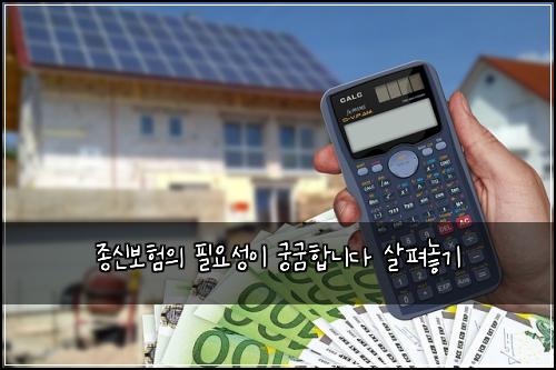 종신보험의 필요성이 궁굼합니다 살펴놓기