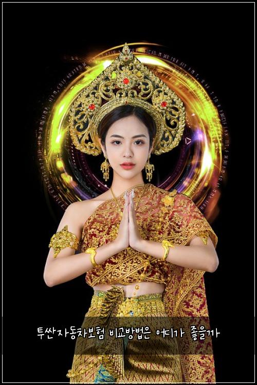 ํฌ์ผ์๋์ฐจ๋ณดํ ๋น๊ต๋ฐฉ๋ฒ์ ์ด๋๊ฐ ์ข์๊น