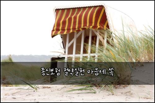 종신보험 절약실천  마음에 쏙