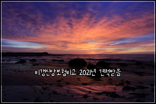 비갱신암보험비교 2021년 견적받음