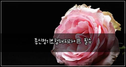 종신정기보험해피라이프 필수