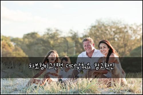 ์ฐจ๋ณดํ๋น๊ต๊ฒฌ์ ๋๋๋ฎ์ถฐ์ ์ฐธ๊ณ ํ์ธ