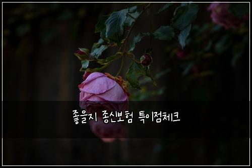 ์ข์์ง ์ข
์ ๋ณดํ ํน์ด์ ์ฒดํฌ