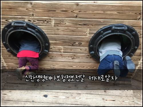 신한생명태아보험정보전달 제대로알자