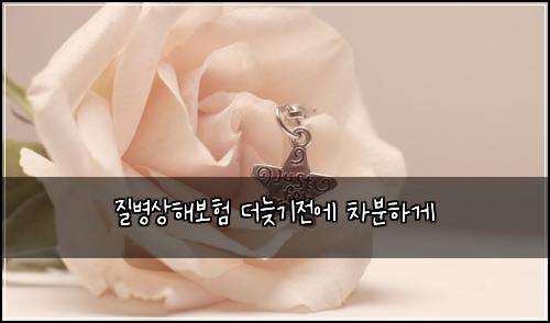 질병상해보험 더늦기전에  차분하게