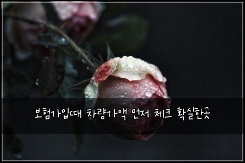 보험가입때 차량가액 먼저 체크 확실한곳