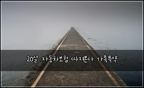 20살 자동차보험 따져본다  가족특약