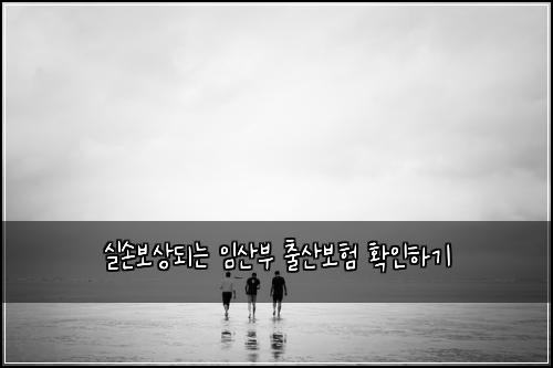 실손보상되는 임산부 출산보험 확인하기