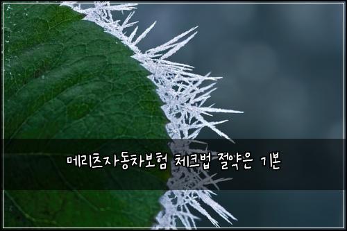 메리츠자동차보험 체크법  절약은 기본