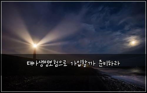 태아생명보험으로 가입할까 준비하라