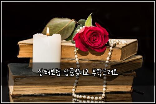 ์ํด๋ณดํ ์ํ๋ณ๋น๊ต ๋ถํ๋๋ ค์