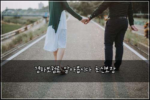 경차보험료 알아봅시다 최신보장