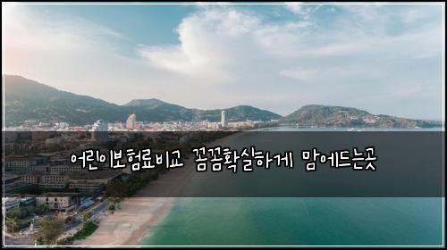 어린이보험료비교 꼼꼼확실하게 맘에드는곳