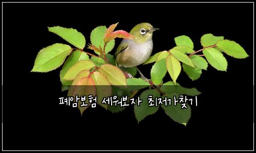 ํ์๋ณดํ ์ธ์๋ณด์ ์ต์ ๊ฐ์ฐพ๊ธฐ