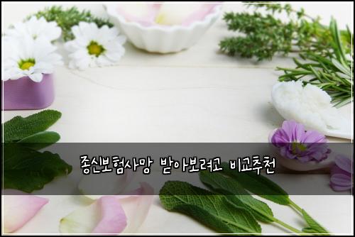 종신보험사망 받아보려고 비교추천