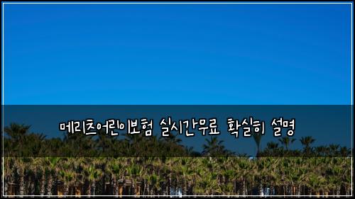 메리츠어린이보험 실시간무료  확실히 설명