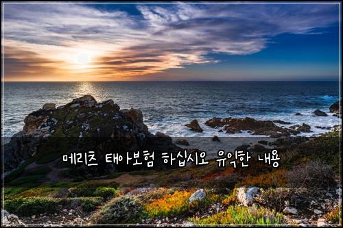 메리츠 태아보험 하십시오  유익한 내용