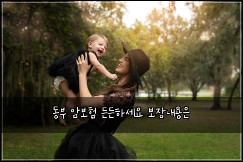 ๋๋ถ ์๋ณดํ ๋ ๋ ํ์ธ์ ๋ณด์ฅ๋ด์ฉ์