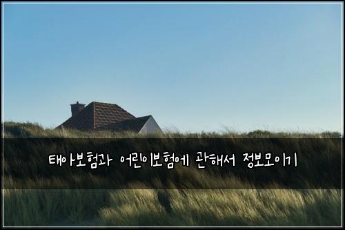 ํ์๋ณดํ๊ณผ ์ด๋ฆฐ์ด๋ณดํ์ ๊ดํด์ ์ ๋ณด๋ชจ์ด๊ธฐ