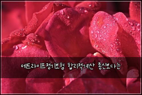 ๋ฉํธ๋ผ์ดํ์ ๊ธฐ๋ณดํ ํฉ๋ฆฌ์ ๊ณ์ฐ ์ข
์ ๋ณด๋ค๋