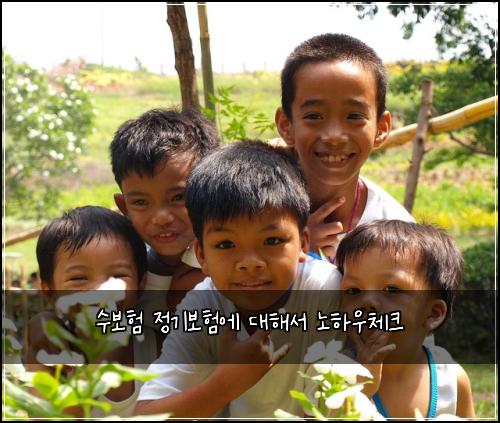 수보험 정기보험에 대해서 노하우체크