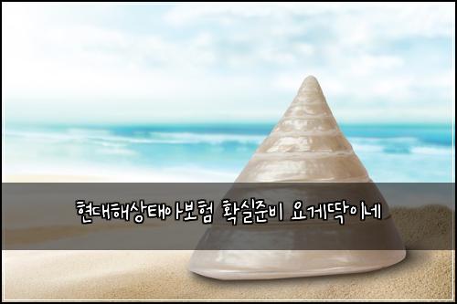 ํ๋ํด์ํ์๋ณดํ ํ์ค์ค๋น ์๊ฒ๋ฑ์ด๋ค