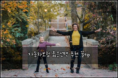자동차보험 옳은선택  추천 꿀tip