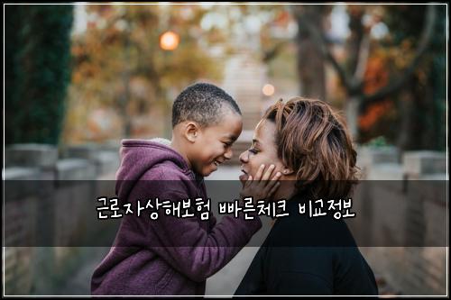 ๊ทผ๋ก์์ํด๋ณดํ ๋น ๋ฅธ์ฒดํฌ ๋น๊ต์ ๋ณด