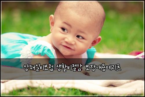 ์ํด์ค๋น๋ณดํ ์ํ๋น์ ๊ฐ ๋ณด์ฅ๋ด์ฉ๋ฉ๋ฆฌ์ธ