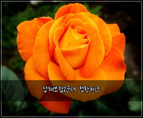 상해보험2군데 정확체크